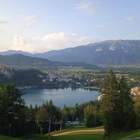 Apartment Mojca Near Bled Zabreznica Zewnętrze zdjęcie