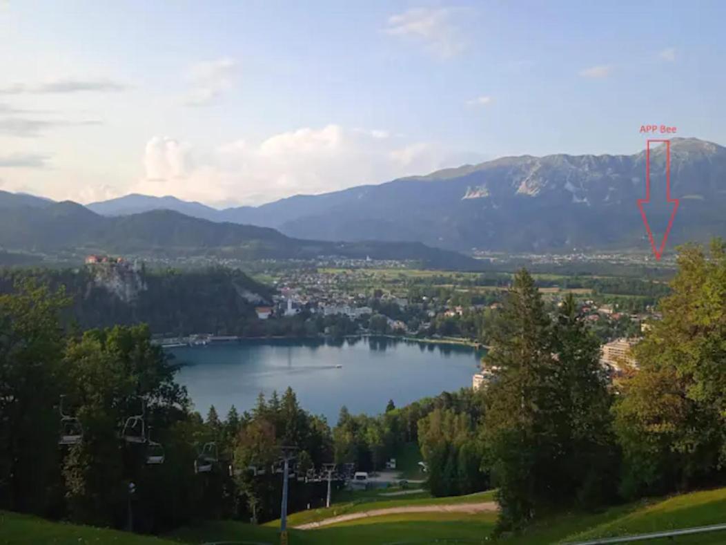 Apartment Mojca Near Bled Zabreznica Zewnętrze zdjęcie