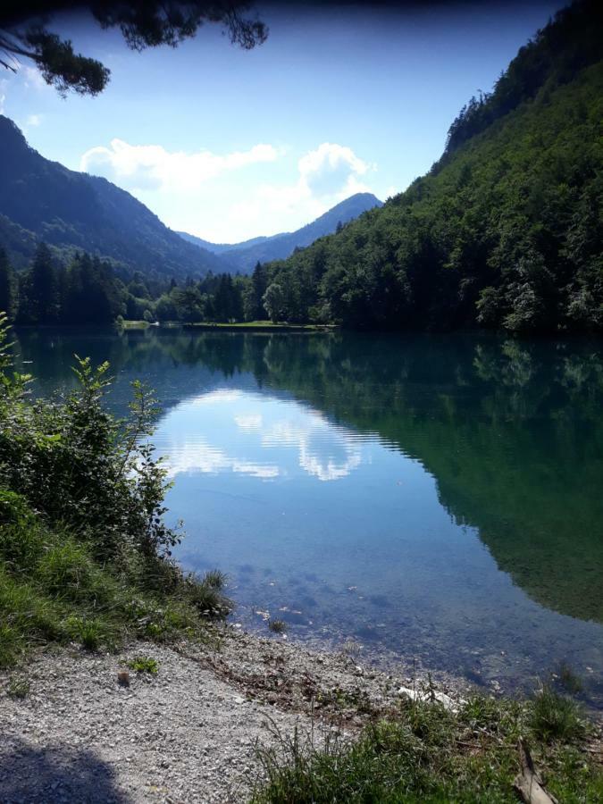 Apartment Mojca Near Bled Zabreznica Zewnętrze zdjęcie